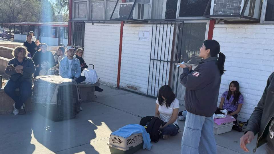 Beneficia gobierno de Sonora salud de animales con esterilización en jornada gratuita